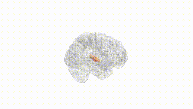 Hemisphere White
