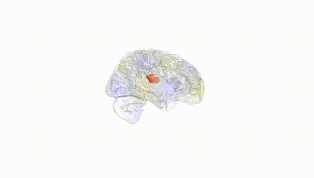 Hemisphere White