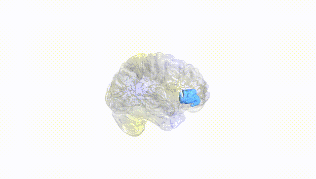 Hemisphere White