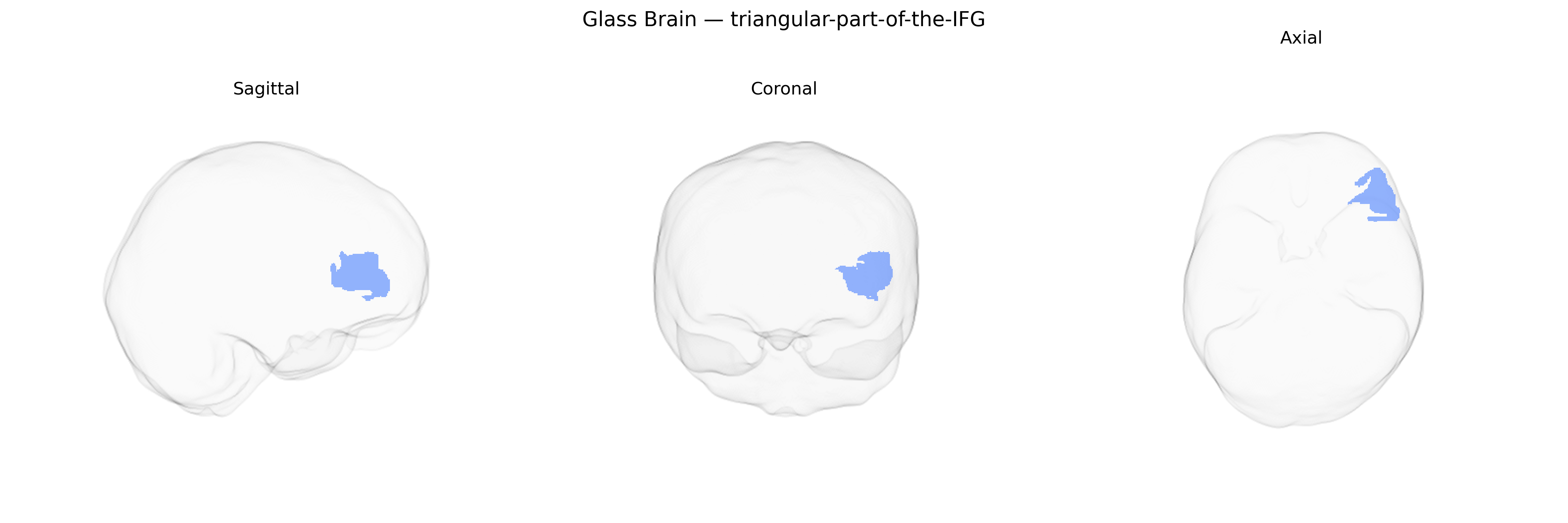 Triplanar Ghost Brain
