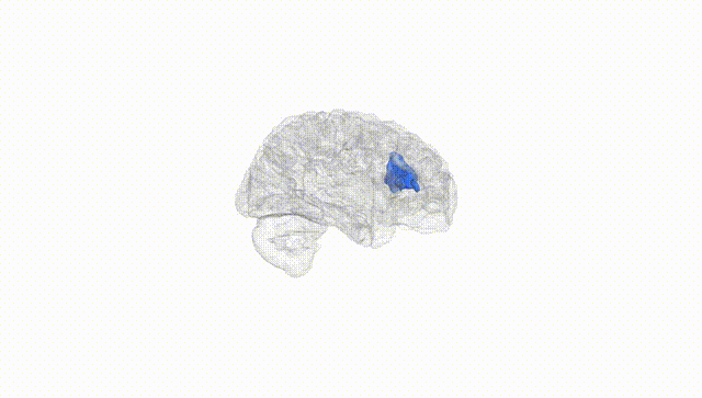 Hemisphere White