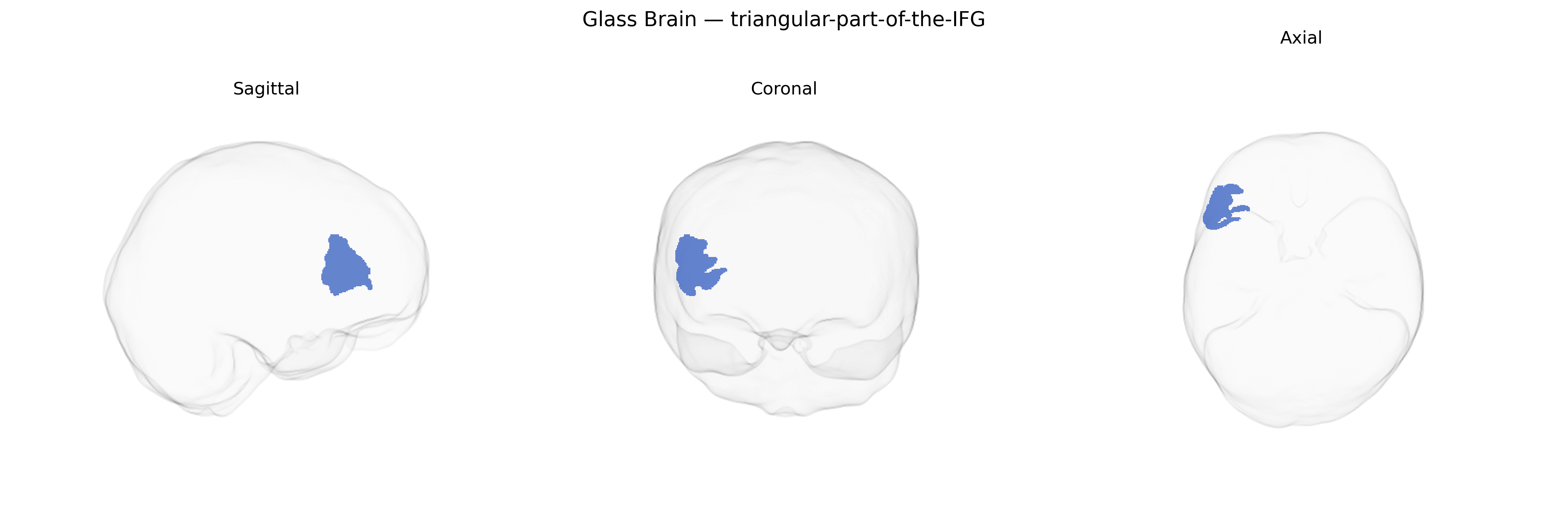 Triplanar Ghost Brain