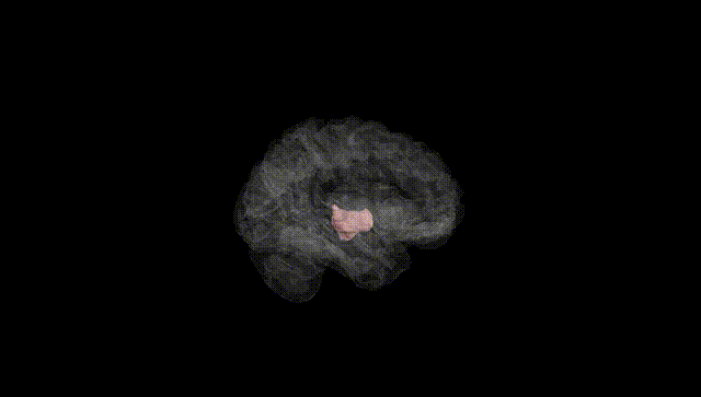 Hemisphere Black