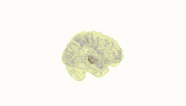 Hemisphere White