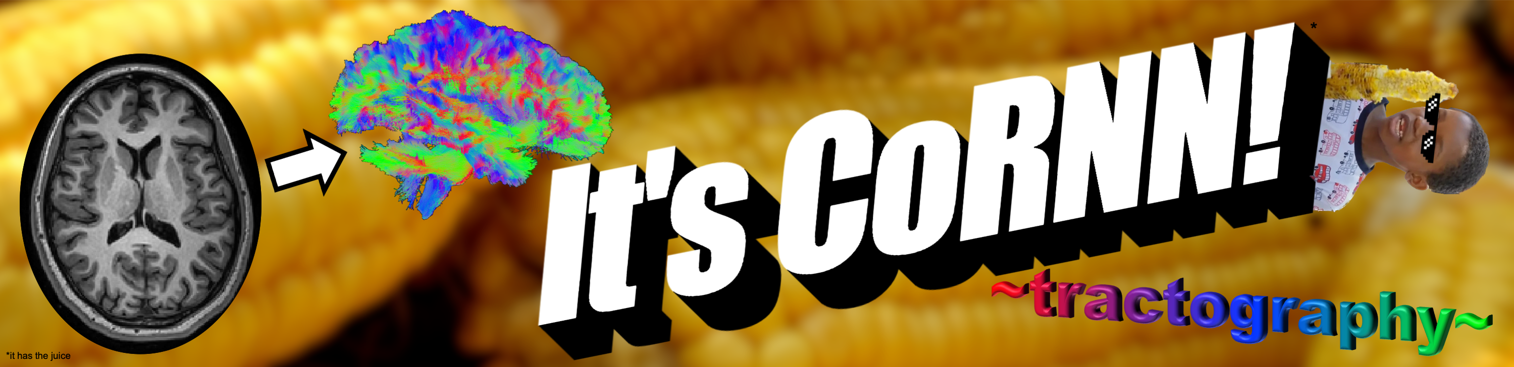 CoRNN preview