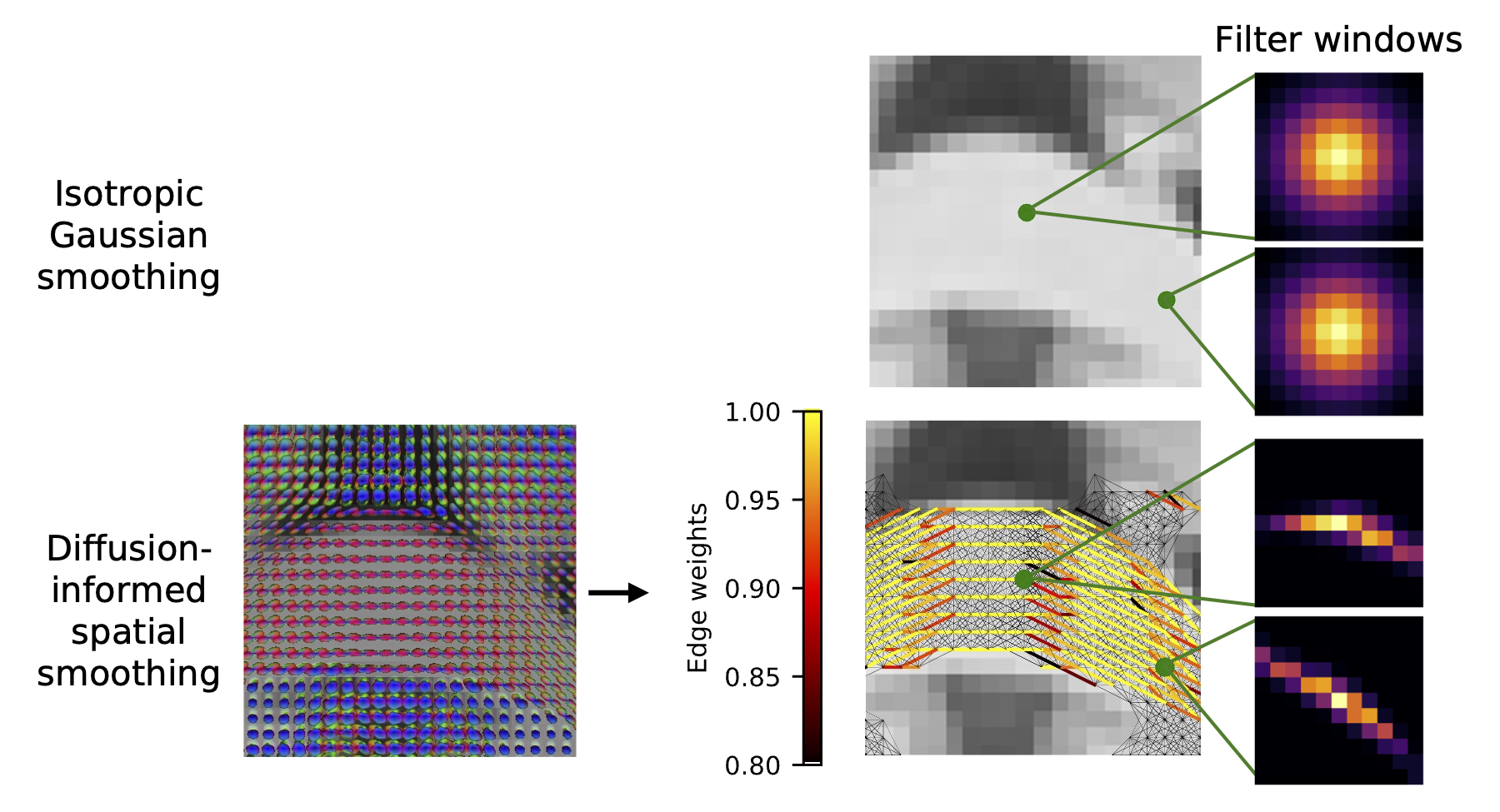 Diffusion Smoothing preview