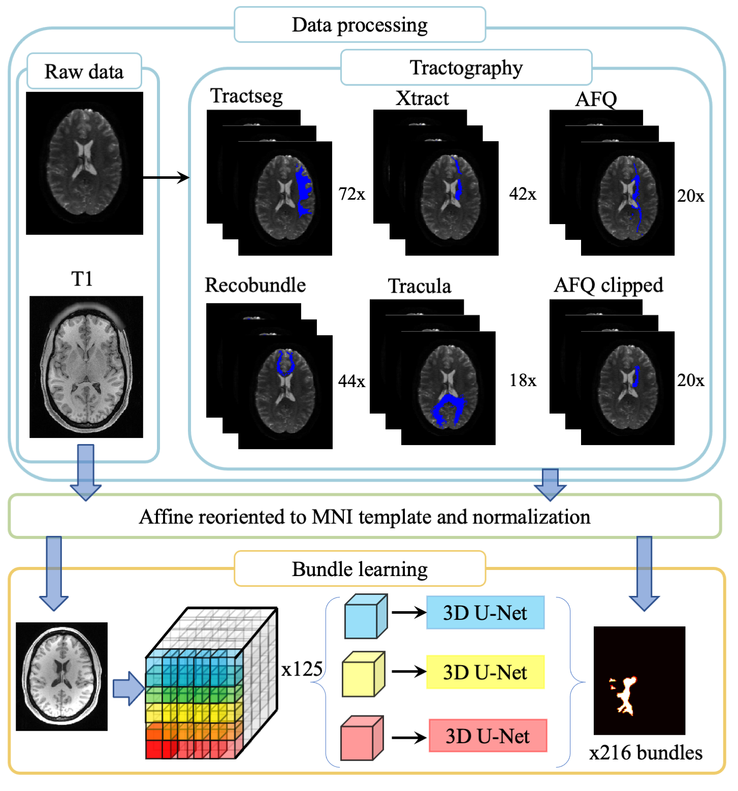 White Matter Learning preview