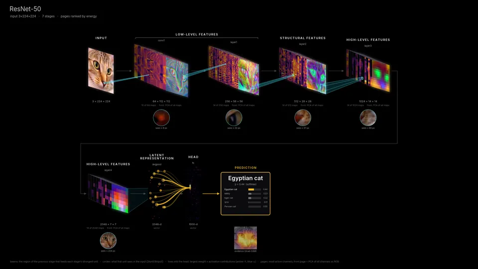 Interactive explorer
