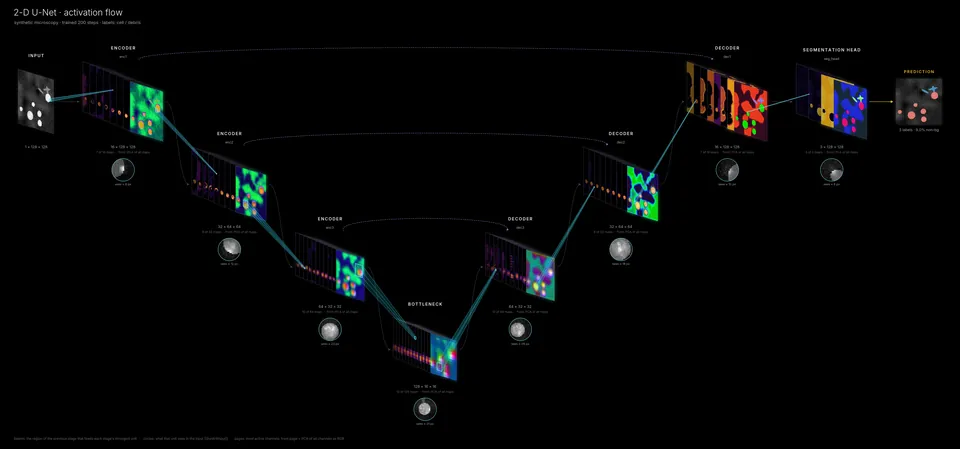2-D U-Net activation flow figure